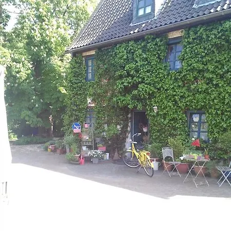 Der Birkenhof - Birch Court